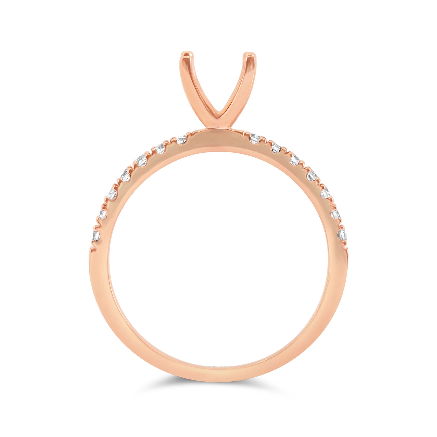 Princess Cut Double Band Half Eternity Setting